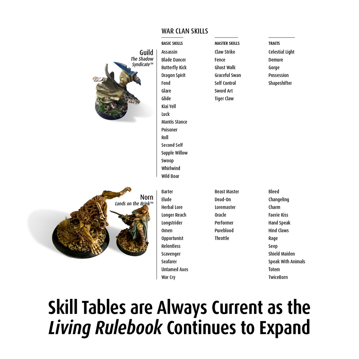 The WitchBorn® Campaign Rules™—BETA