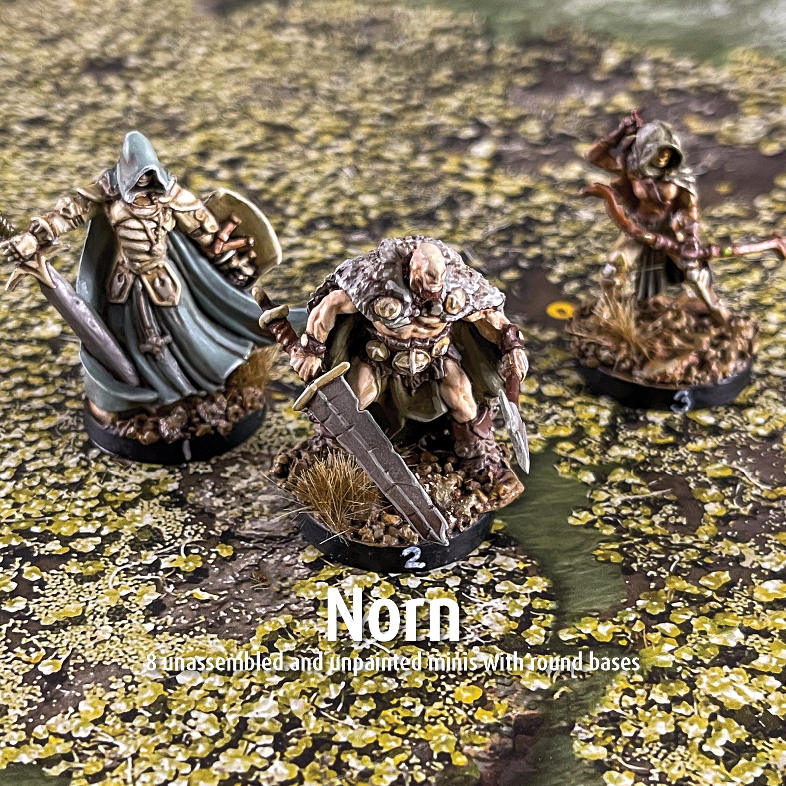 Reaper Bones Minis, Norn – The WitchBorn®