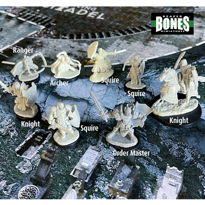 Reaper Bones Minis, Paladins