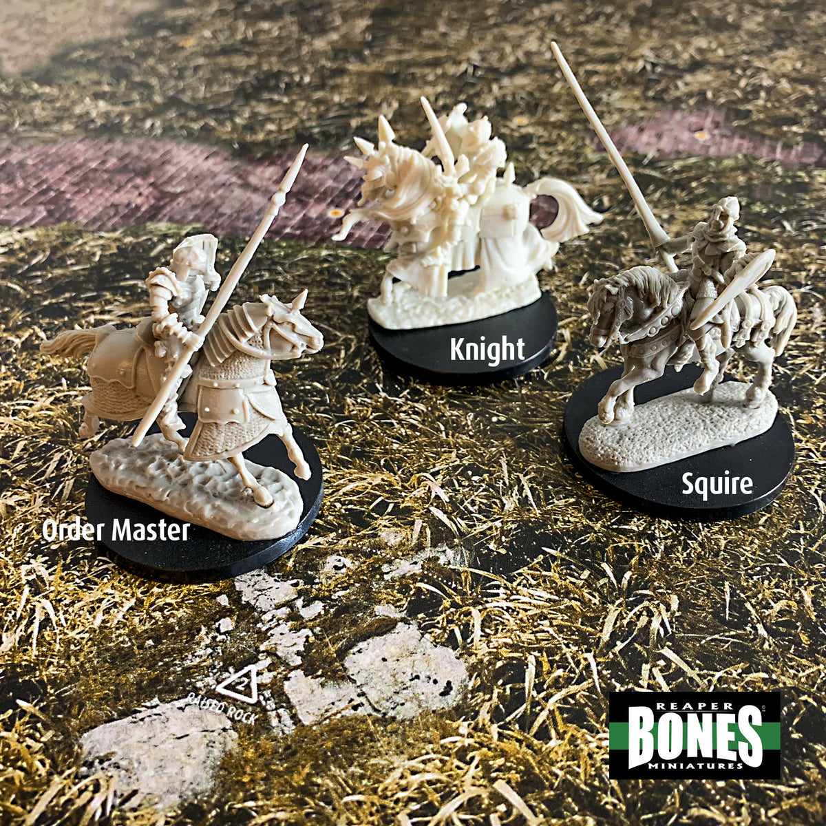 Reaper Bones Minis, Paladins